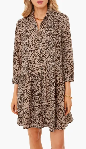 Tuckernuck Hayes Beige & Brown Leopard Print Drop Waist Shirt Dress | XS thumbnail 1