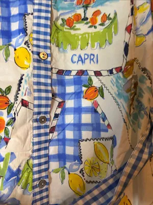 entro Blue & Yellow Capri Print Gingham Shirt Boutique Dress thumbnail 6