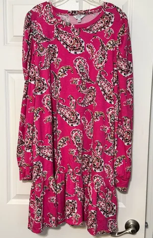 Crown & Ivy Pink Paisley Printed Prairie Ruffle Hem Long Sleeve Mini Dress Sz XL thumbnail 1