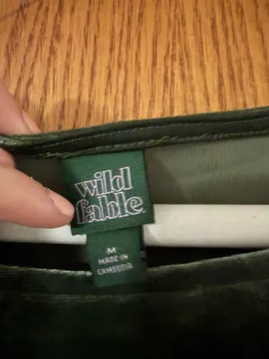 Wild Fable Green Velvet Dress thumbnail 2