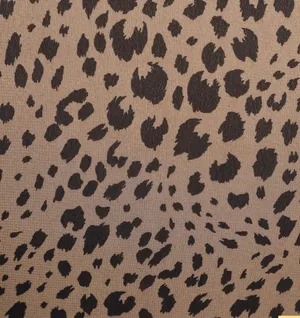 Balloon Sleeve Leopard Top thumbnail 4