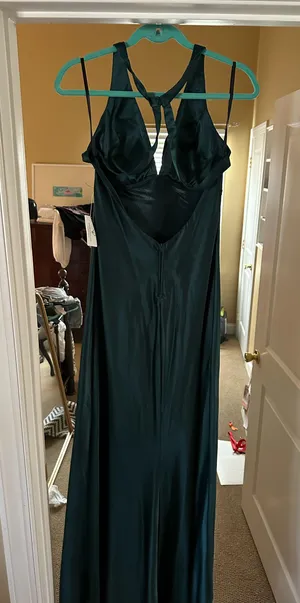 Windsor Prom/Formal Dress thumbnail 4