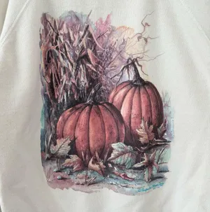 Hanes Activewear 1992 Impulse Wear Pumpkin Fall Autumn Sweatshirt thumbnail 3