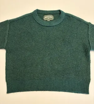 American Eagle Womens Green Knit Sweater Medium Crewneck Soft Casual Pullover thumbnail 1