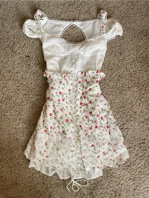 For Love & Lemons Baela Lace-Up Bustier Rose Floral Eyelet Mini Dress in XS thumbnail 5