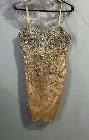 Mini Homecoming Dress Tan Size 2 thumbnail 1