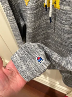 Champion University of Michigan hoodie thumbnail 4