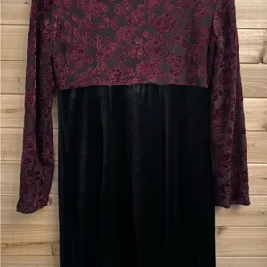 Vintage Molly Malloy Medium Floral Burnout Velvet Long Sleeve Whimsigoth Dress thumbnail 11