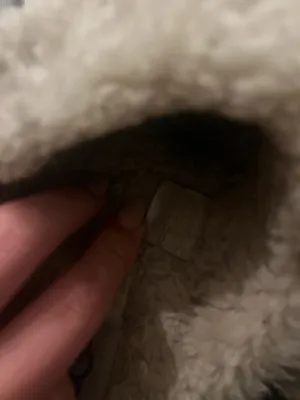 UGG Slippers thumbnail 3
