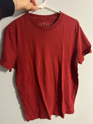 American Eagle Outfitters Athletic Fit TShirt thumbnail 1
