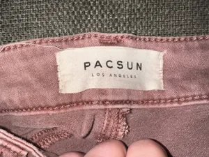 PacSun Shorts thumbnail 3