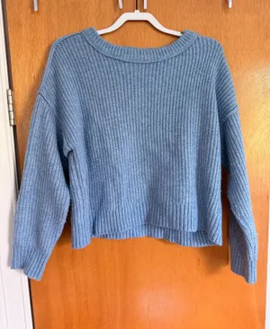 Blue American Eagle Sweater thumbnail 1