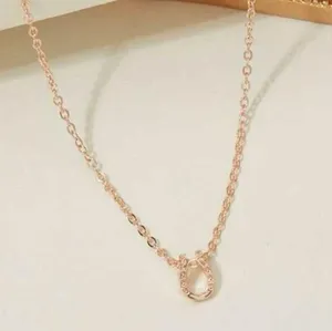 Lucky horseshoe necklace thumbnail 2
