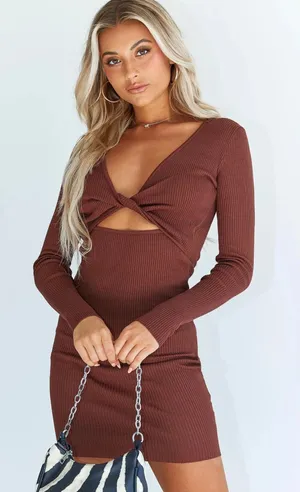 Brown Bodycon Dress thumbnail 1