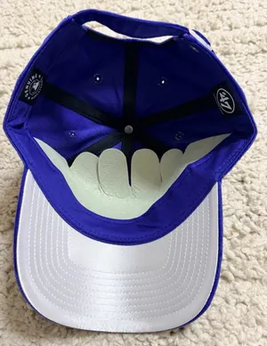 NEW 47 Brand Velour Los Angeles Dodgers Spirited ’47 Clean Up Hat thumbnail 4