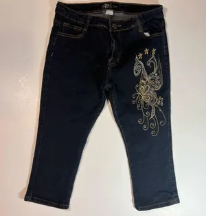 Capri Embroidered Jeans Blue Size M thumbnail 1