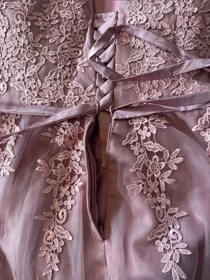 Women’s Pink Lace Short Tulle Prom Party Homecoming Dress Corset Back 24W **READ thumbnail 10