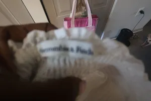 Abercrombie & Fitch cropped ruffled scrunchy balloon sleeves top in white size XS. thumbnail 5