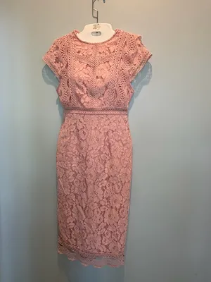 Baltic Born Nessa Lace Blush Midi Dress size Small New With Tags thumbnail 10