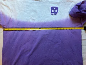 Disney Parks Potion Purple Walt Disney World Spirit Jersey XL Ombre 1971 thumbnail 5