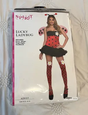 Lady Bug Halloween Costume thumbnail 1