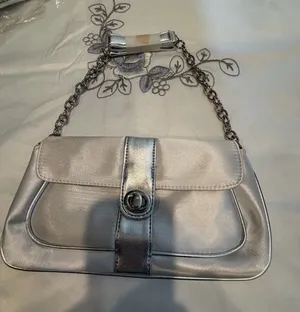 Silver Chain thumbnail 1