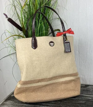 Coach Tan & Brown Wool Blend Striped North South Tote Bag thumbnail 1