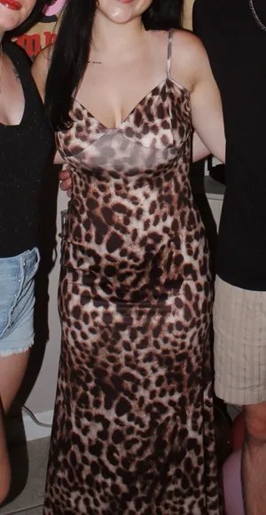 Shein Leopard Dress  thumbnail 1