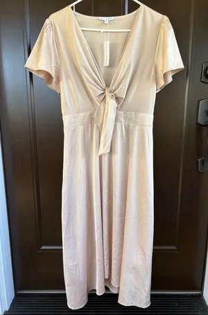 NWT Baltic Born Poppy Satin Midi Dress Champagne Size Large thumbnail 1