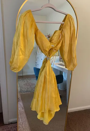 Revolve Satin Mini Dress thumbnail 2
