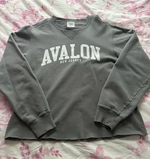 Avalon NJ Cropped Crewneck Size M thumbnail 1