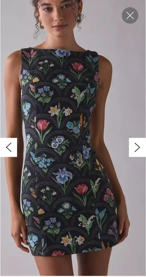 Boutique En Saison Dress thumbnail 1