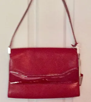 Fabulous Lauren bag. Patent and leather. BNWT. thumbnail 1