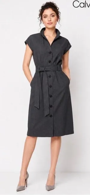 Calvin Klein Womens Charcoal Grey Button Front Belted Cap Sleeve Shirt Dress 4 thumbnail 1