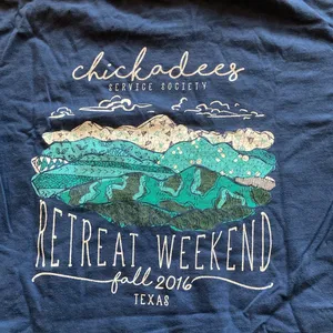 Comfort Colors Mountain Range Abstract Blue Teal Chickadees T-Shirt Medium EUC thumbnail 2