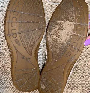 Sperry’s thumbnail 2
