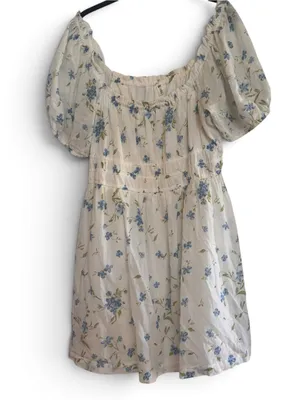 Cream Floral Puff-Sleeve BoHo flowery cottage core Dress with Blue Flowers thumbnail 2