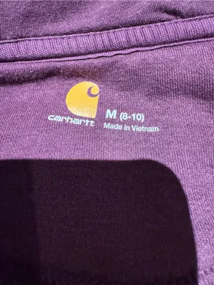 Carhartt Zip Hoodie in Plum thumbnail 5