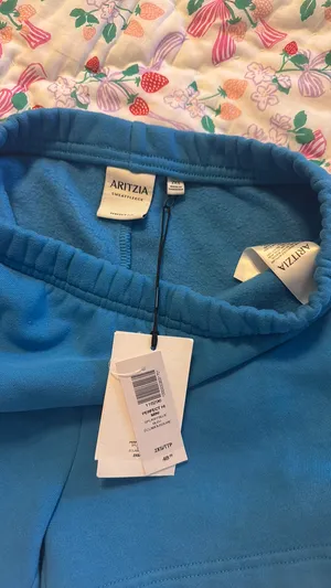 Aritzia Shorts TNA thumbnail 4