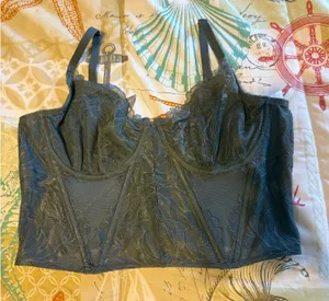 Gilly Hicks Corset Top thumbnail 1