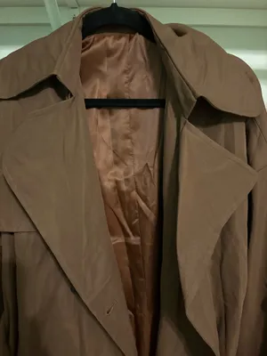 Brown Coat thumbnail 2