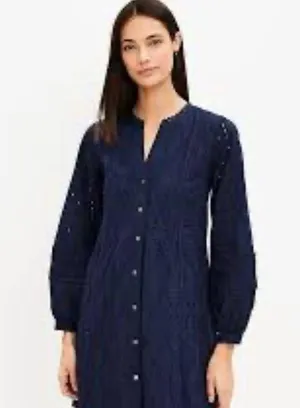 Loft Navy Blue Eyelet Button-Down Dress thumbnail 1