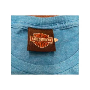 Harley-Davidson Smoky Mountain Blue Winged Logo Graphic Tee Med Biker Y2K thumbnail 4