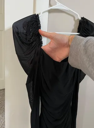 Sheer Long Sleeve Top thumbnail 3