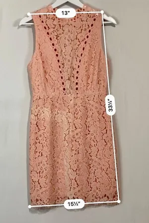 Main Strip Women’s Sleeveless Open Back Lace Mini Dress Pink NWOT thumbnail 9