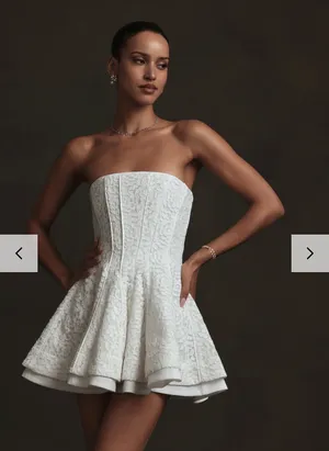 V Chapman Rosemary Mini Dress thumbnail 1