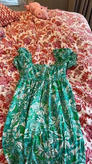 Lily Pulitzer Lilly Dress thumbnail 4