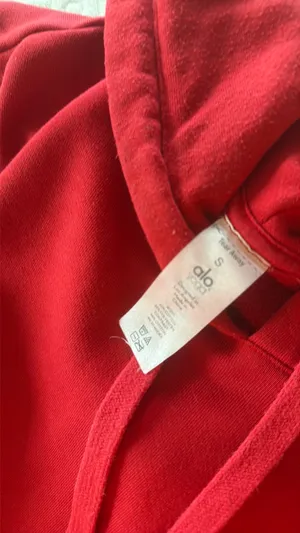 Alo Yoga Hoodie thumbnail 2