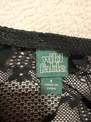 Wild Fable Black Lace Cami Top thumbnail 4