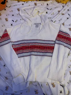 American Rag Hooded Sweater thumbnail 1